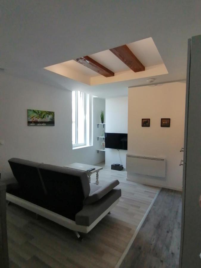Jungle Zen Beau T2 Avec Jardin Gare 100M Appartement Tonneins Buitenkant foto